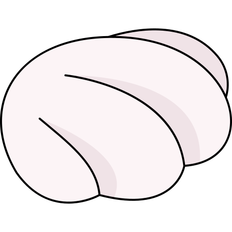shell icon