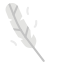 feather icon