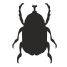 Scarab icon