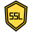 Ssl icon