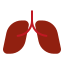 lungs icon