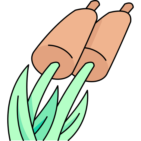 이미 icon