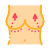 乳房 icon