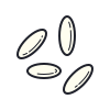 color hand drawn style grains of rice icon