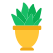 Aloe Vera Plant icon