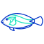 surgeon fish icon