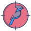 Uccello icon