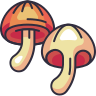 Mushroom shiitake icon