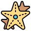 Starfish icon