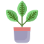 croton icon