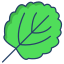 externo-Aspen-Leaf-leaf-icongeek26-color-lineal-icongeek26-2 icon