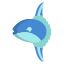 ocean sunfish icon