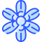 flores-sisyrinchium-externas-vitaliy-gorbachev-azul-vitaly-gorbachev icon