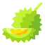 Durian icon