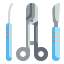 dissection icon