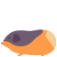 Морская свинка icon