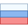 Russian Federation icon