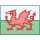 Wales icon