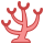 Coral icon