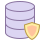 Data Protection icon