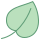 Leaf icon