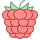 office m style raspberry icon