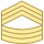 Master Sergeant MSG icon