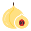 Nutmeg icon