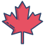 Maple Leaves icon