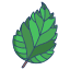 folhas de hibisco externo-icongeek26-linear-color-icongeek26 icon