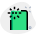 flash-esterno-fotocamera-dual-tono-isolato-su-sfondo-bianco-mobile-verde-tal-revivo icon