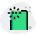 flash-de-caméra-double-ton-externe-isolé-sur-fond-blanc-mobile-vert-tal-revivo icon