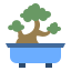 bonsai tree icon