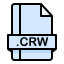 crw icon
