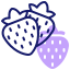 草莓 icon