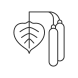 birch pollen icon