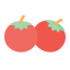 番茄 icon