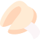 fortune cookie icon