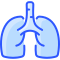 Lungs icon