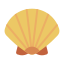 Coquille icon