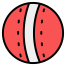 cricket ball icon