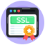 SSL Certificate icon