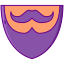 Mustache With Beard icon