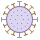 Coronavirus icon