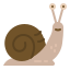 Snail icon