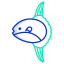 ocean sunfish icon