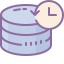 Data Backup icon