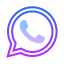 Icon 10