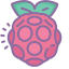 cute color style tarte aux framboises icon