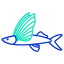 esterno-pesce-volante-pesci-icongeek26-colore-contorno-icongeek26 icon